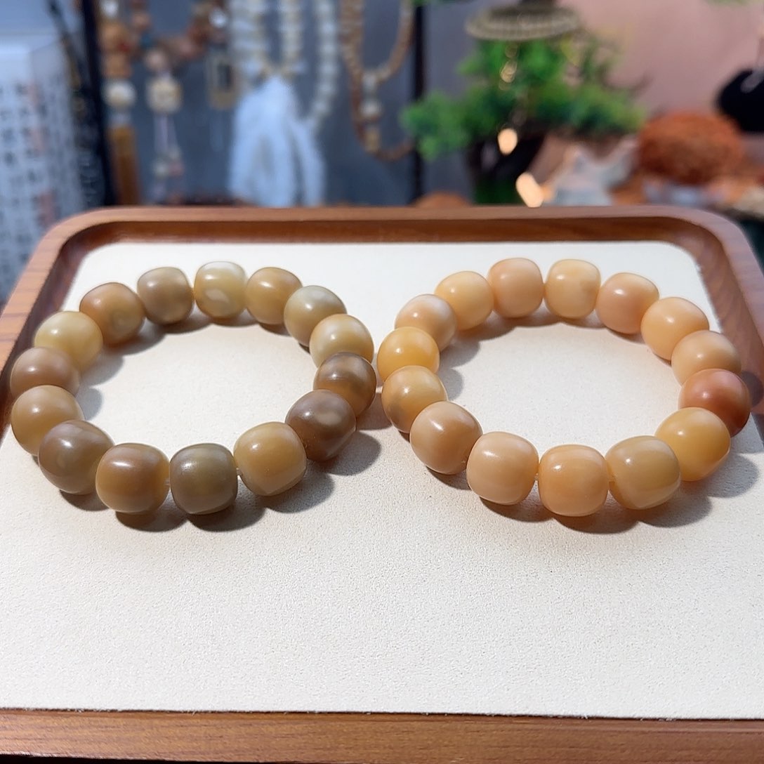 菩提根/象牙果吊坠卡15干磨老型