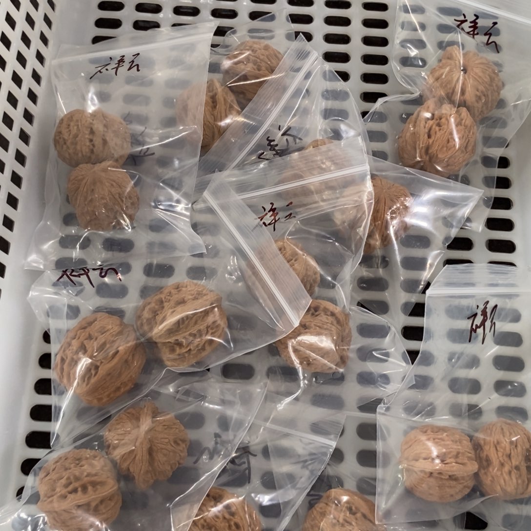 L***L文玩核桃吊坠祥云10对