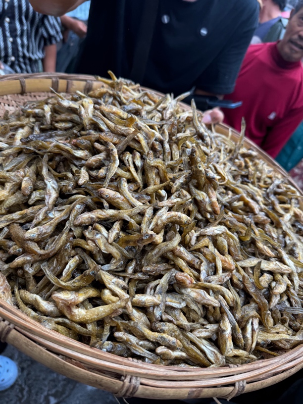 湘西野生小河溪流鱼链接