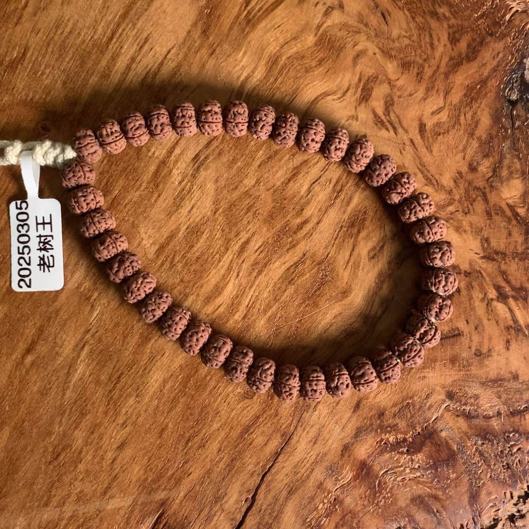 金刚菩提吊坠10x7mm定制老树王单圈