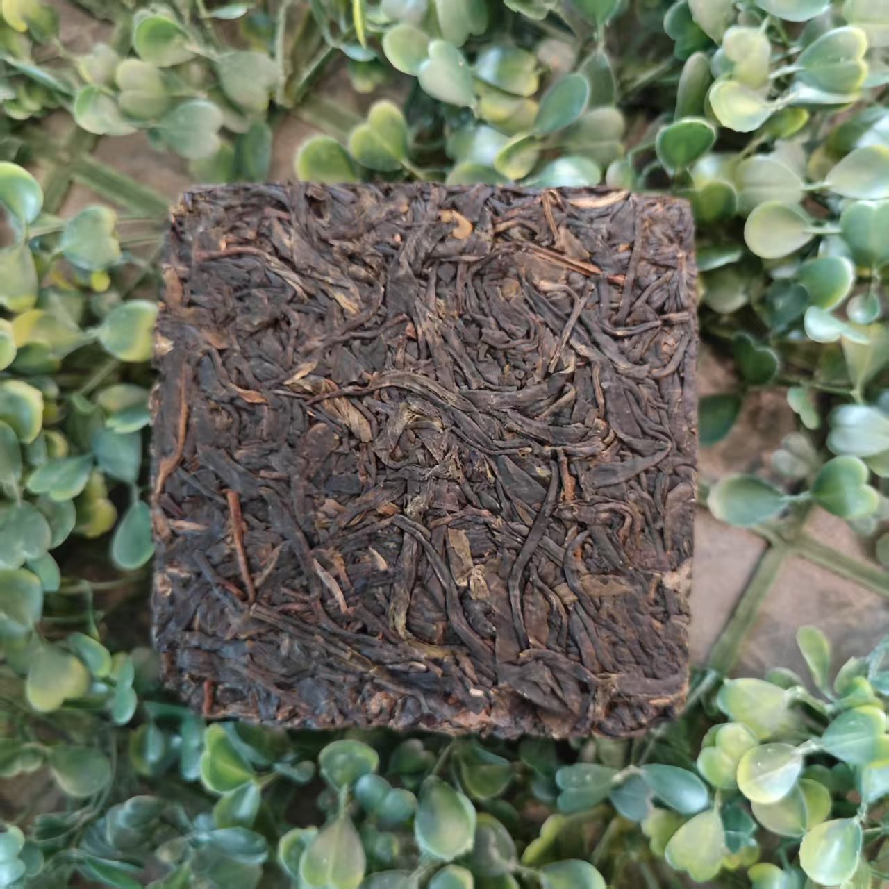 雨腾妹夫 “无S菩提果”菩提紫芽X根200g/砖 生茶（6月23）