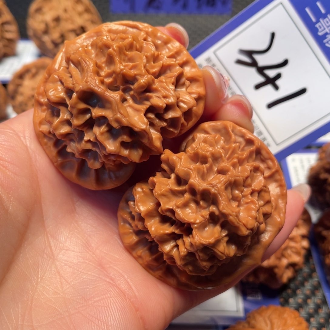 文玩核桃把件341号5.0帝王