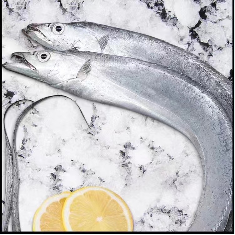 14【B祁大婶】连云港发货 带鱼新鲜速冻发货【100g-200g/条】到手14条