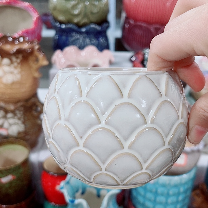 多肉花盆满10元包邮