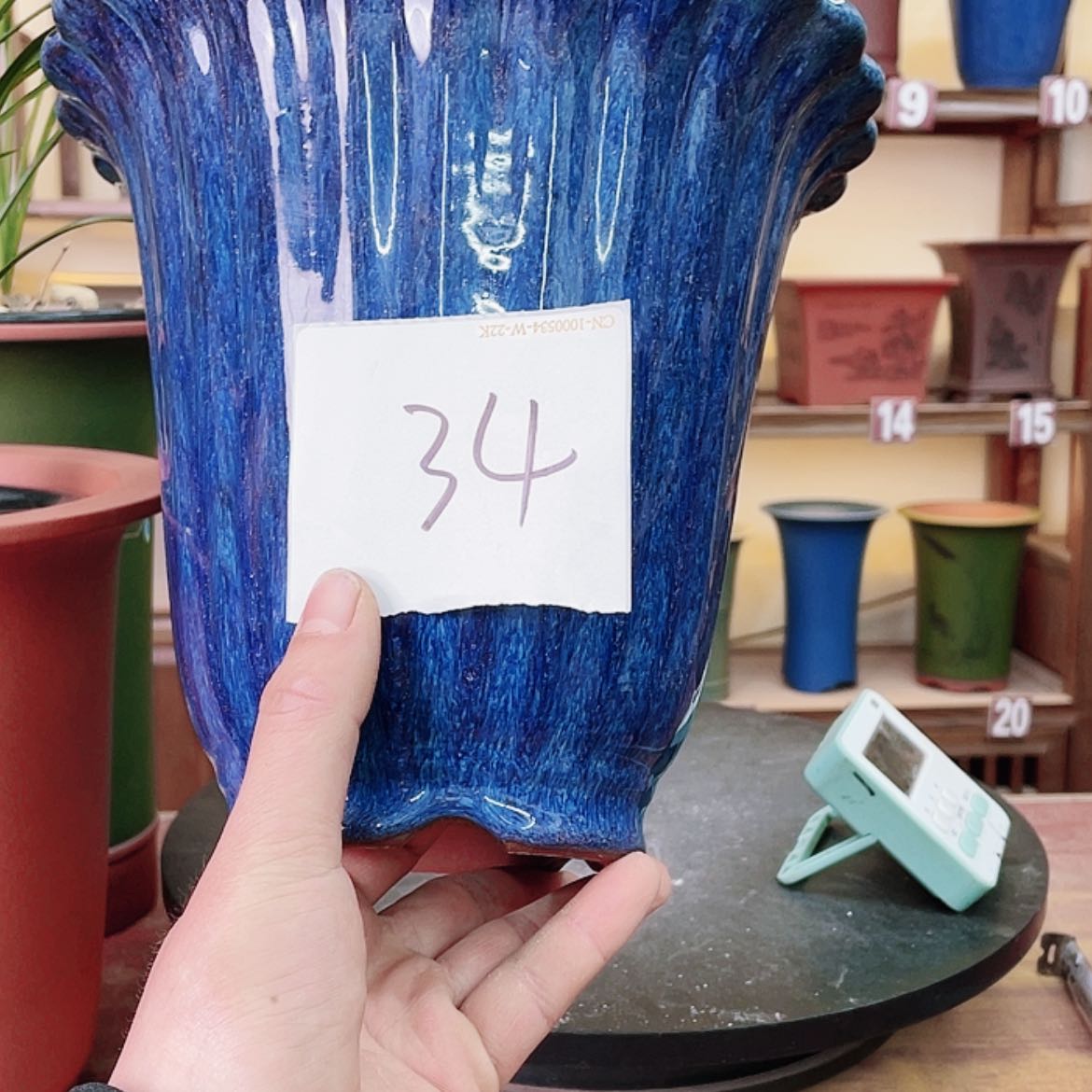 【闪购商品】紫砂花盆天*。兰花566685544556585558