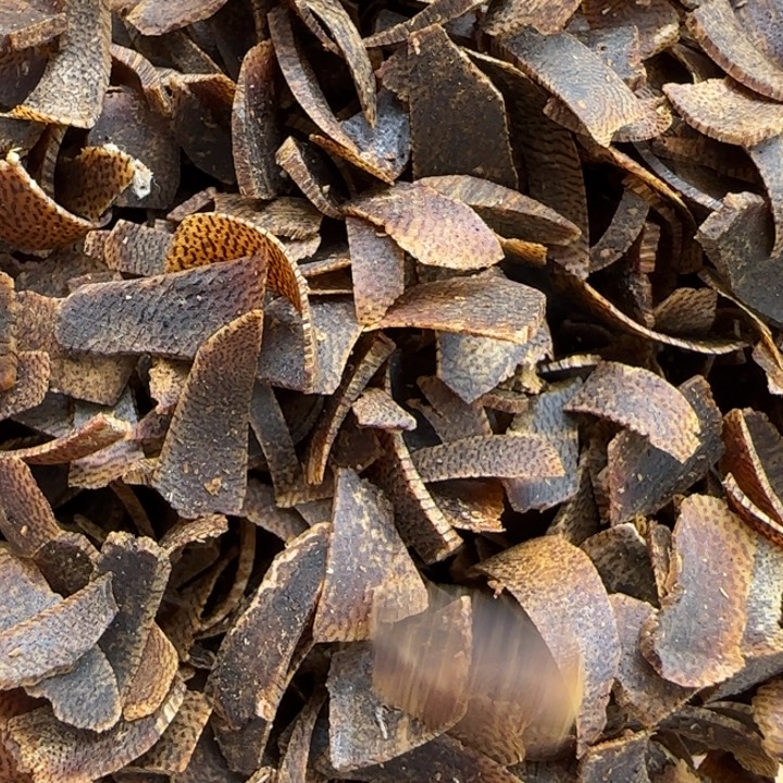 天***麻沉香碎屑沉香棋楠陆河切片10克