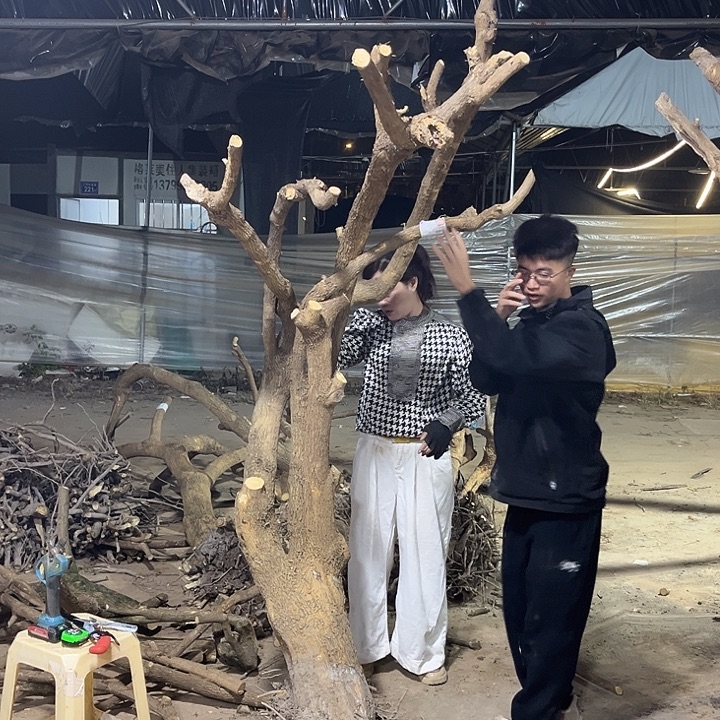 无花朵小叶紫一物一拍2000