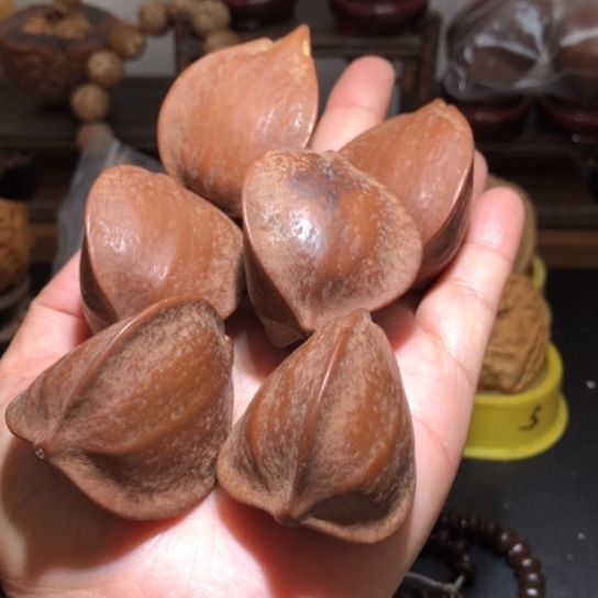 金刚菩提吊坠单只橄榄6颗