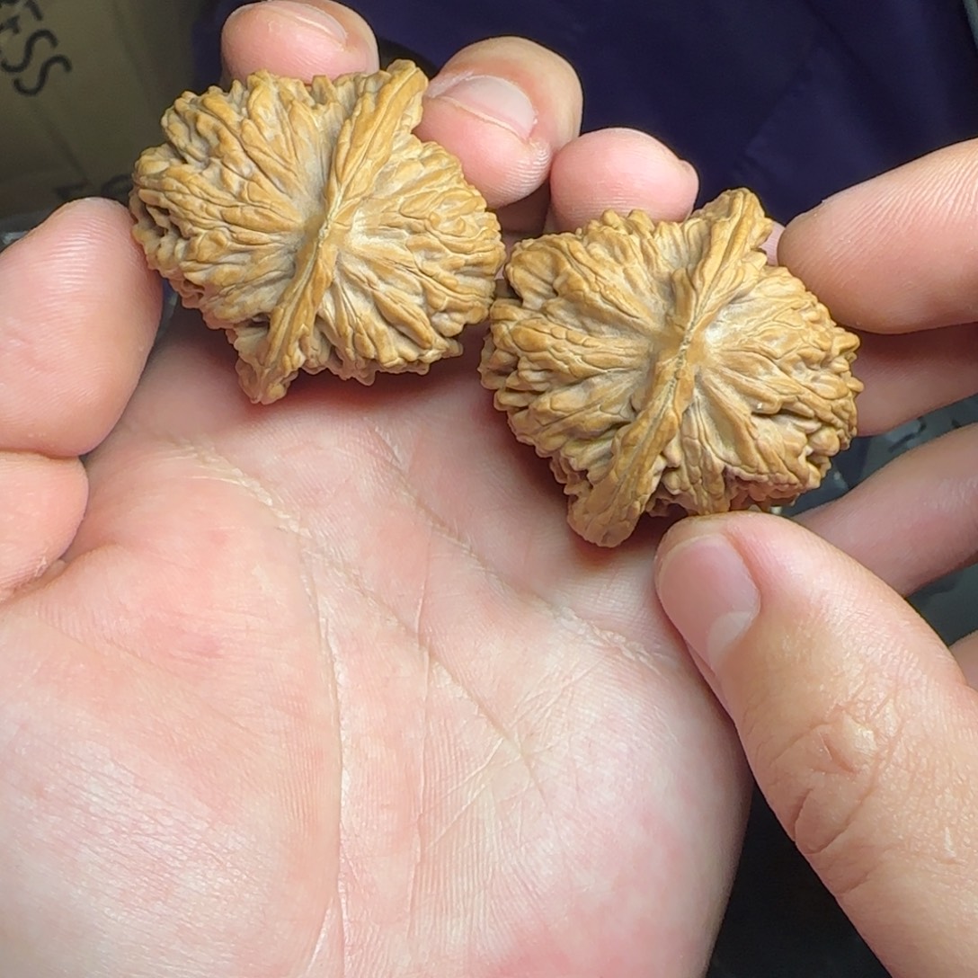 桃核吊坠1111111111111