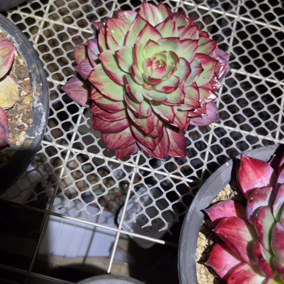 A***哈哈哈哈哈哈宝贝宝贝宝贝吧