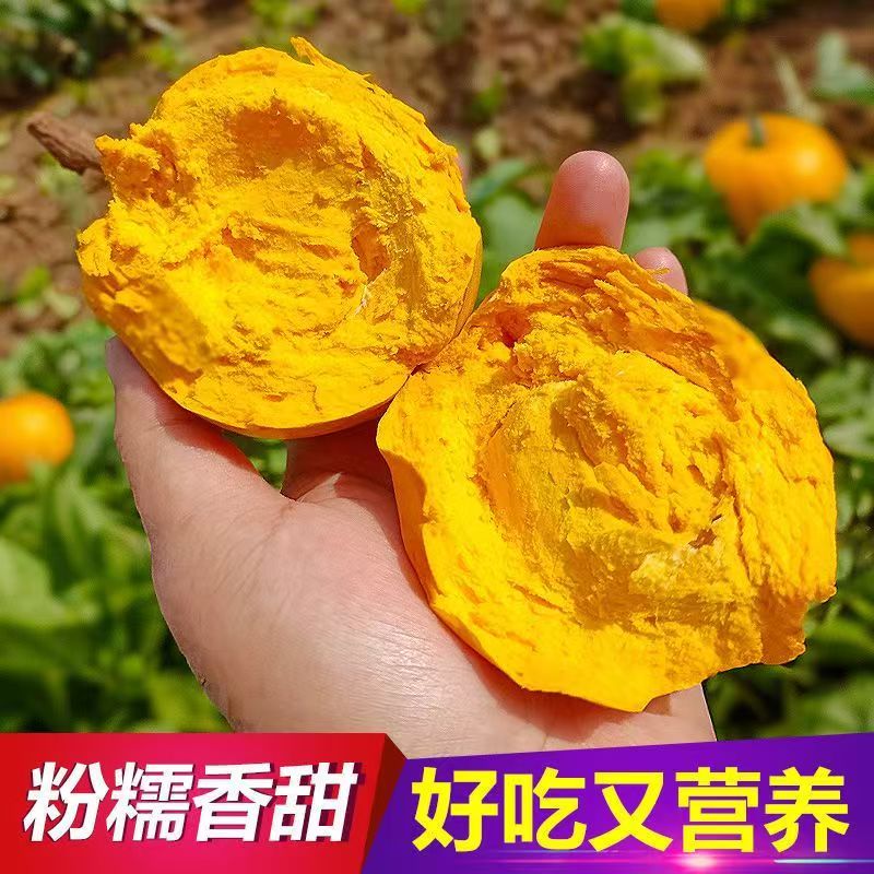 【精品套带果】云南潞江坝鸡蛋果蛋黄果罕见热带水果品质保证