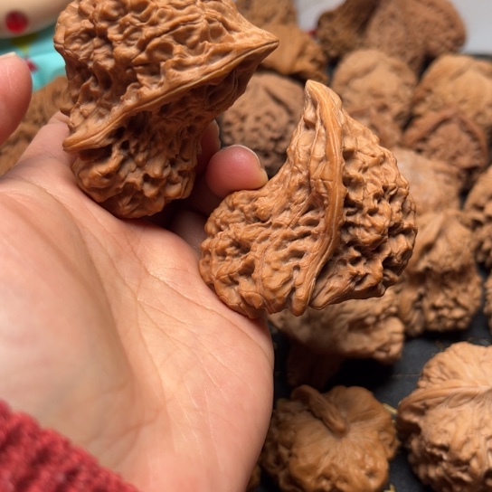 官帽异性有修37尺