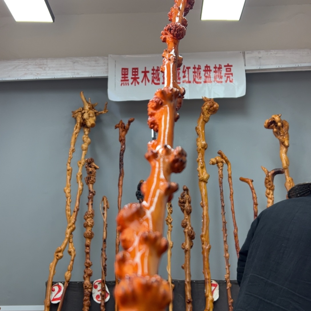 黑果木其他黑果木556