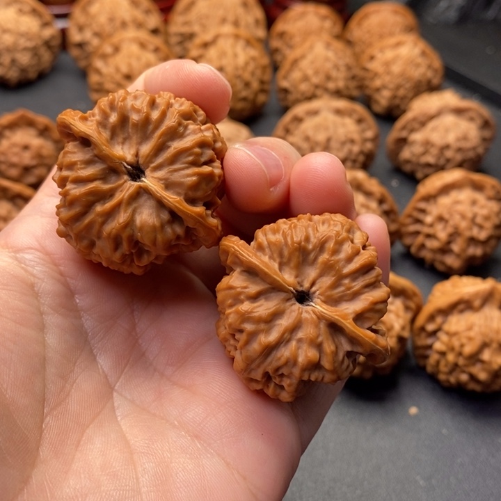 文玩核桃把件38尺如意原树非嫁接