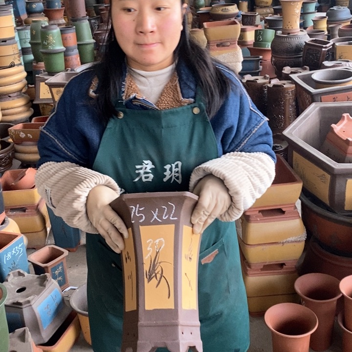 紫砂花盆盆栽花卉苗木种植