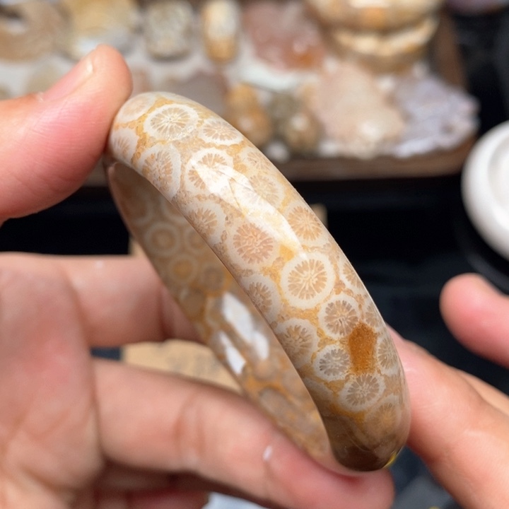 硅化珊瑚（珊瑚玉）手镯未镶嵌52