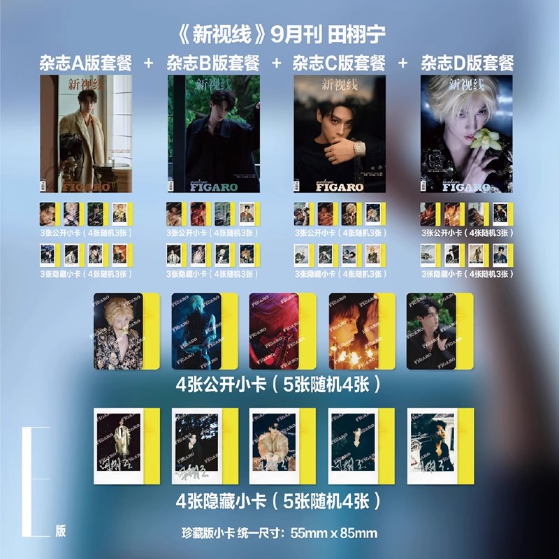费加罗9月 田栩宁A+B+C+D套装+随机4张公开小卡+随机4张隐藏小卡