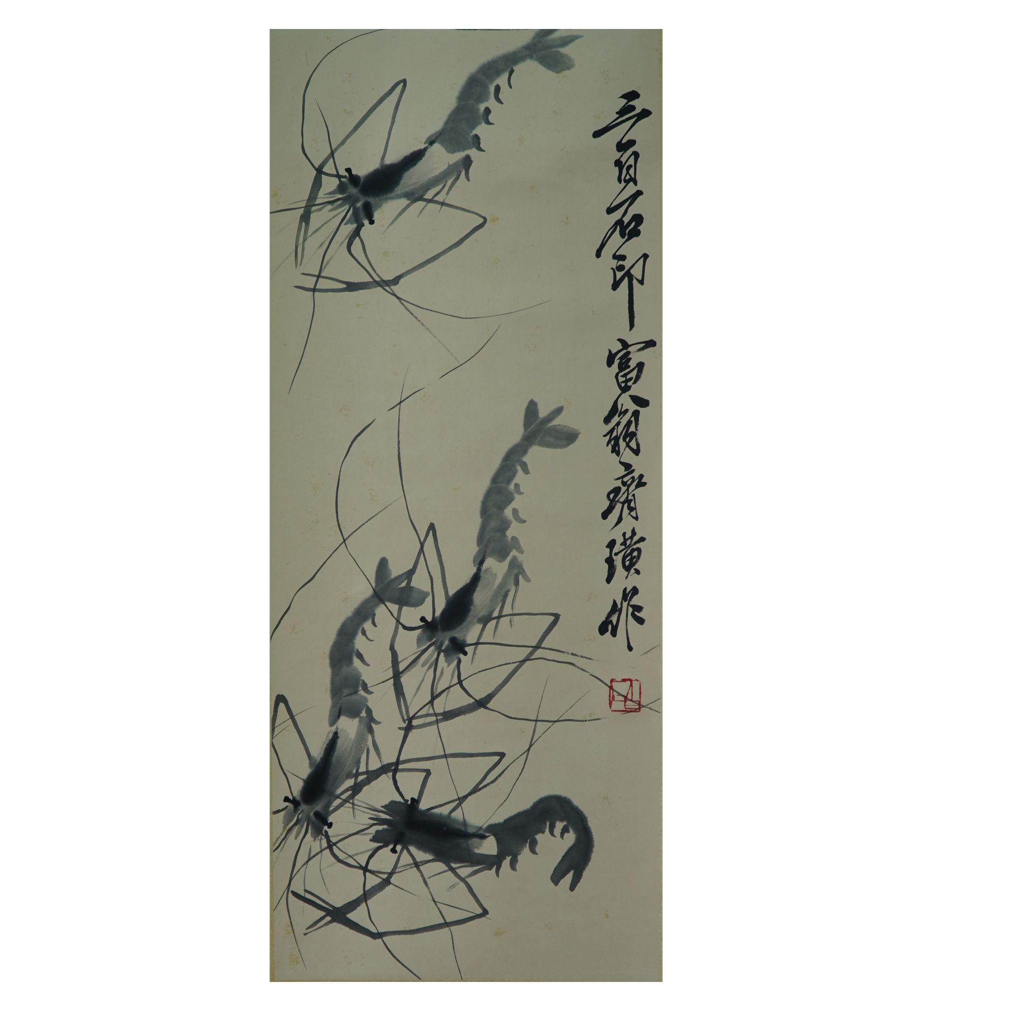 虾 ZXT25-185  28cm 67cm