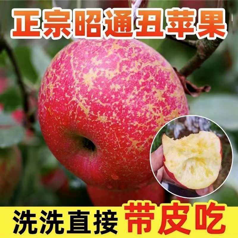 云南昭通红露丑苹果冰糖心新鲜水果5斤10当季大凉山整箱基地直销