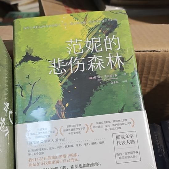 范尼的悲伤森林，精装。