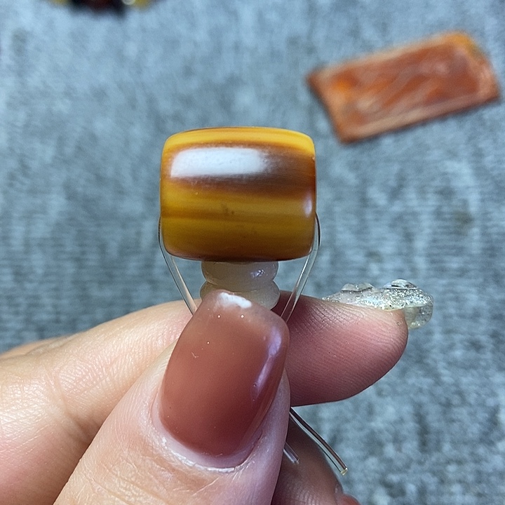 大果紫檀（缅甸花梨）