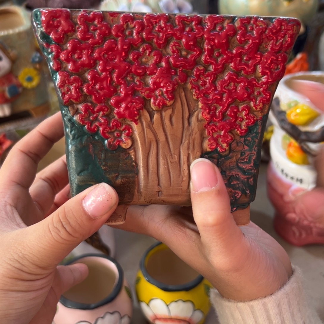 多肉花盆，满20发货爱退款拉黑