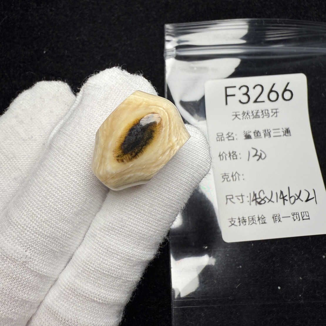 F3266天然猛犸象牙鲨鱼背三通冰料果冻料14.8*14.6*21mm