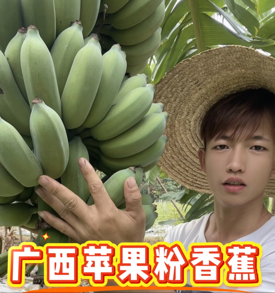 ［新人3斤专属］广西苹果蕉香蕉小米蕉当季新鲜水果芭蕉苹果粉蕉