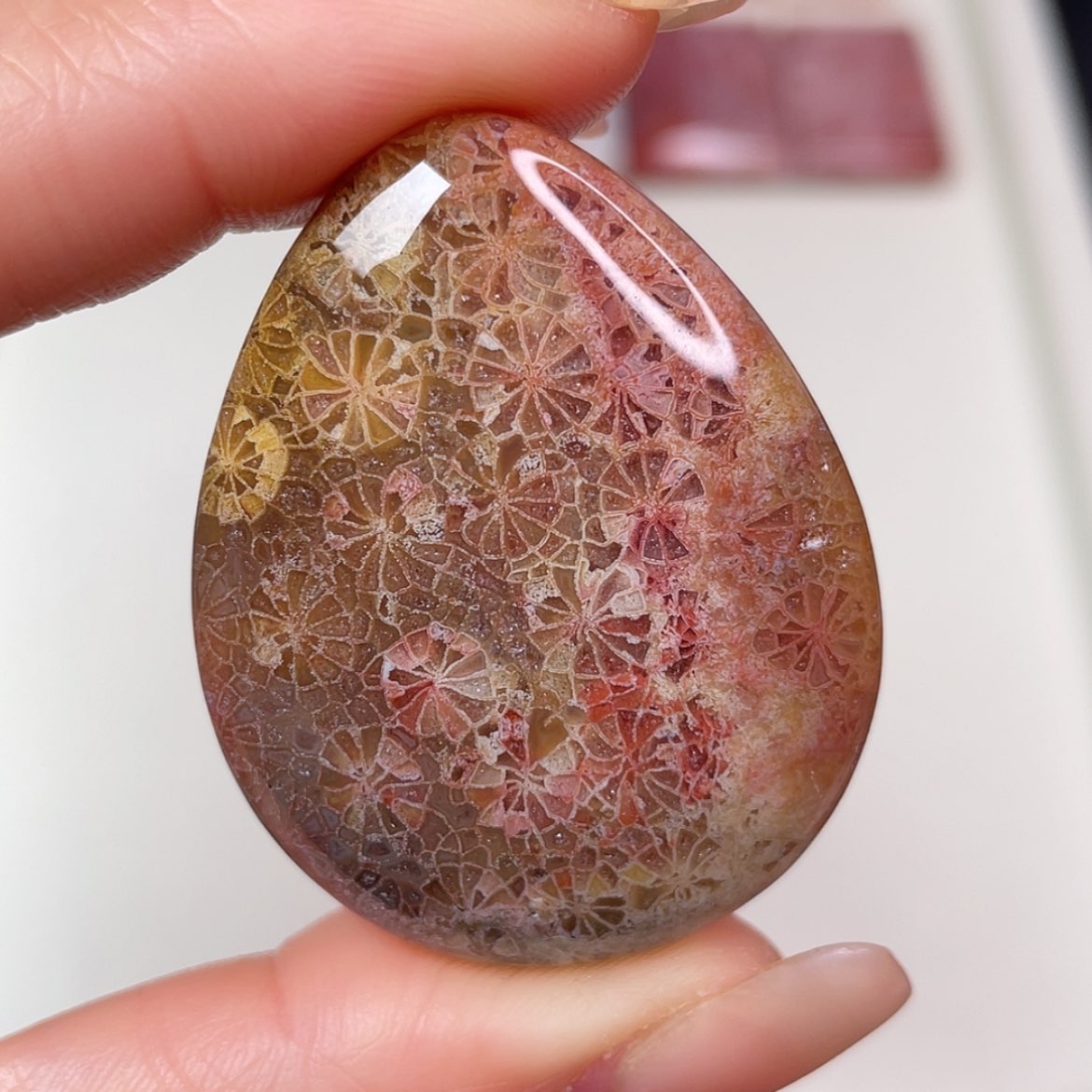 【闪购商品】未镶嵌吊坠(赠链)硅化玉