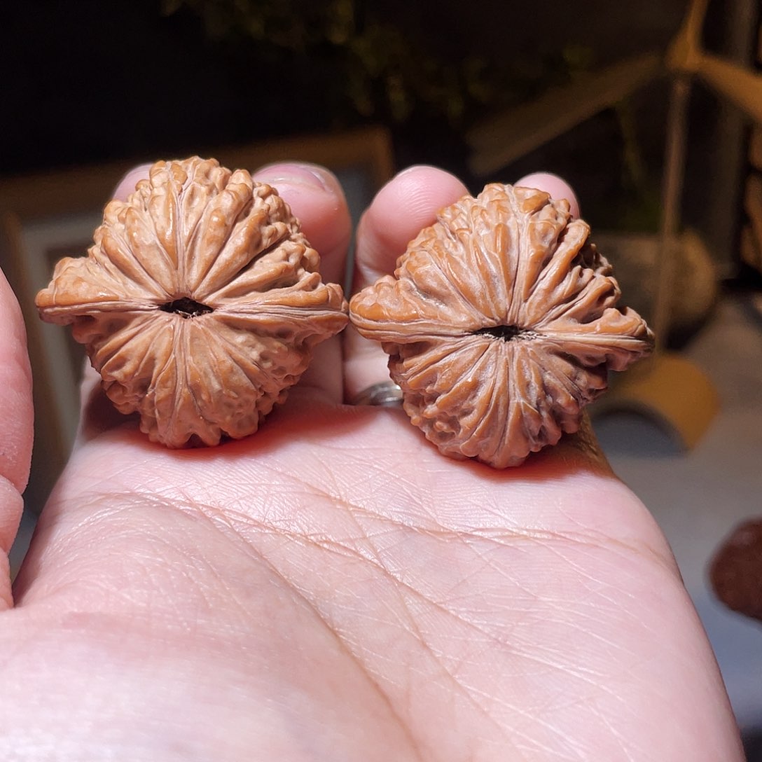 核桃手串/手链泽*38汉高楼全品无修