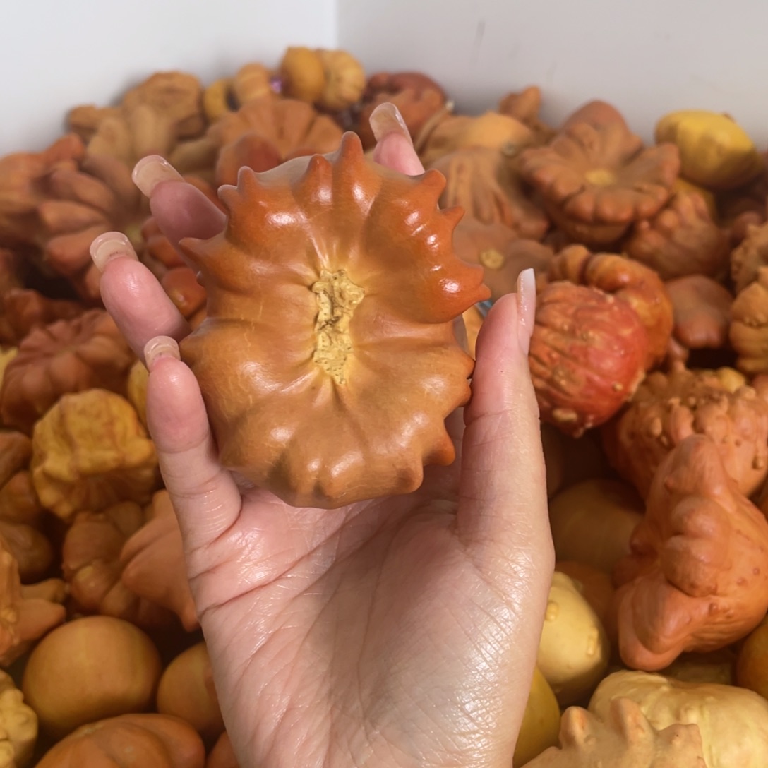 ****发向幸福出发哈哈哈哈