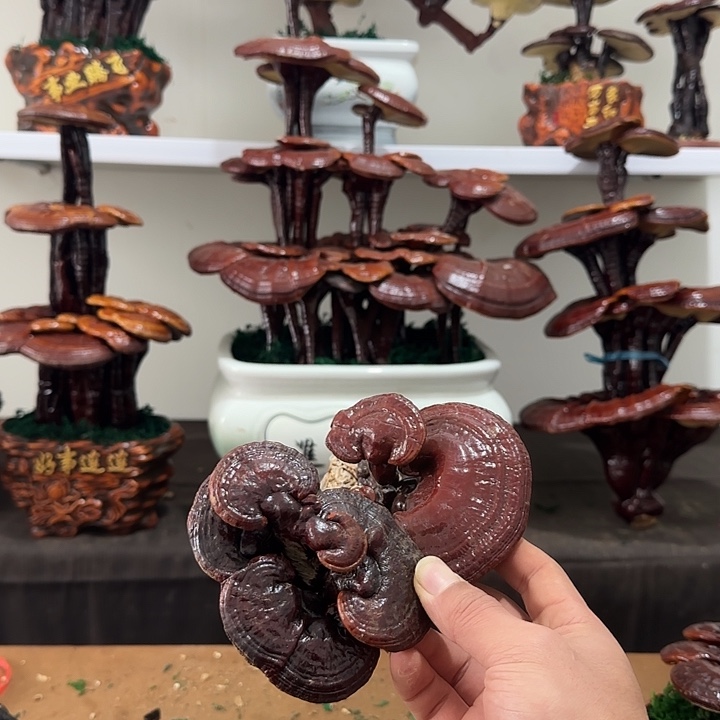 小***煜无花朵888888888888