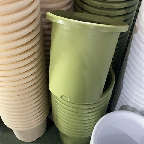 树脂特价7号6个无托果绿