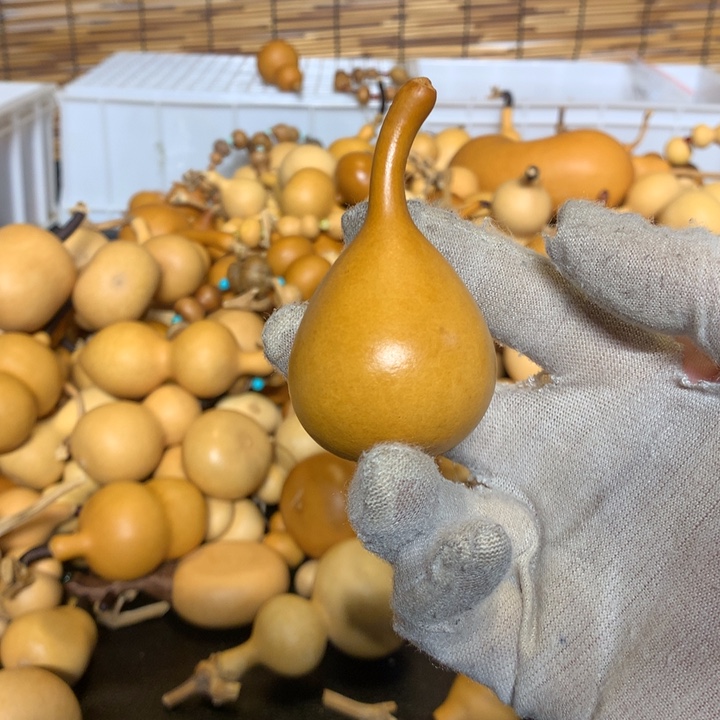 我是个没有安全保障和社会