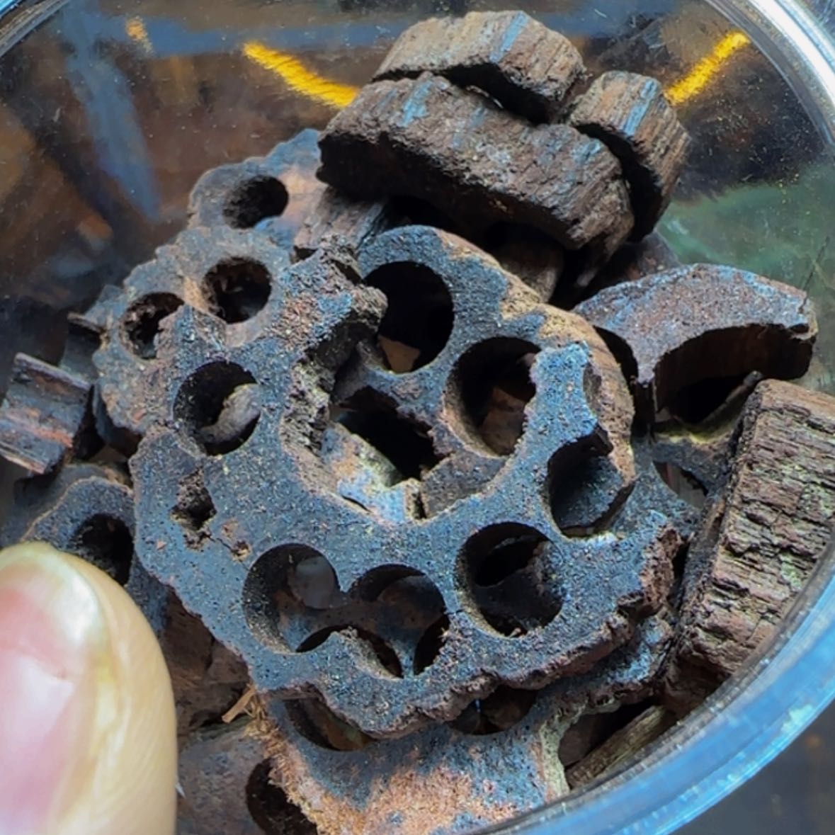 【闪购商品】降真香其他50克随机发不喜欢可以退