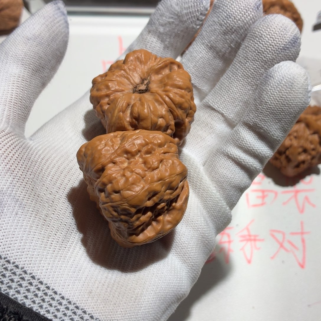 野****大叶紫檀（黑酸枝木类）