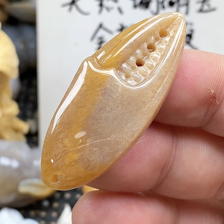 颈饰未镶嵌硅化珊瑚（珊瑚玉）