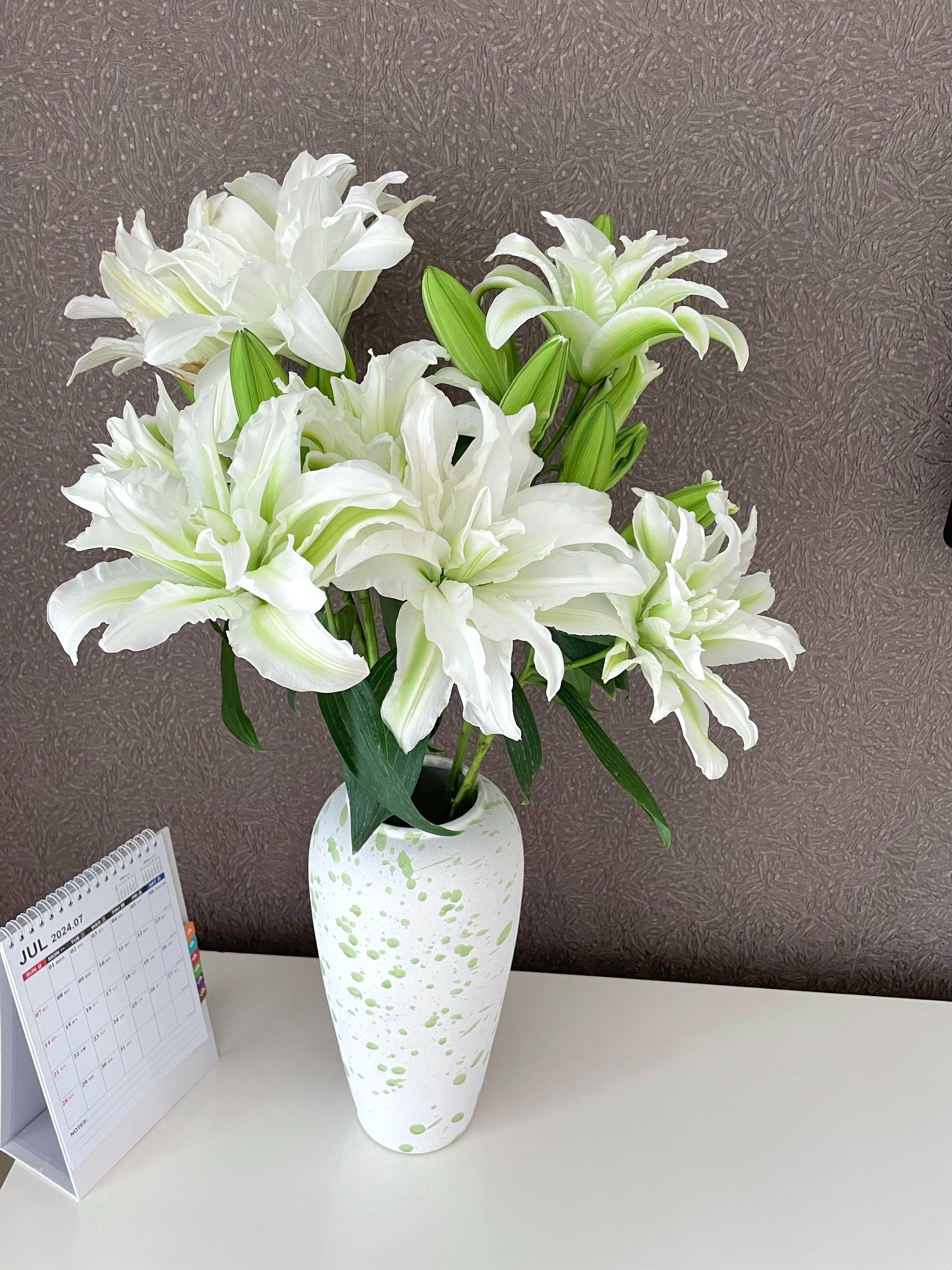 【爱莎重瓣香水百合】鲜花  发货后不支持仅退款 云南基地直发