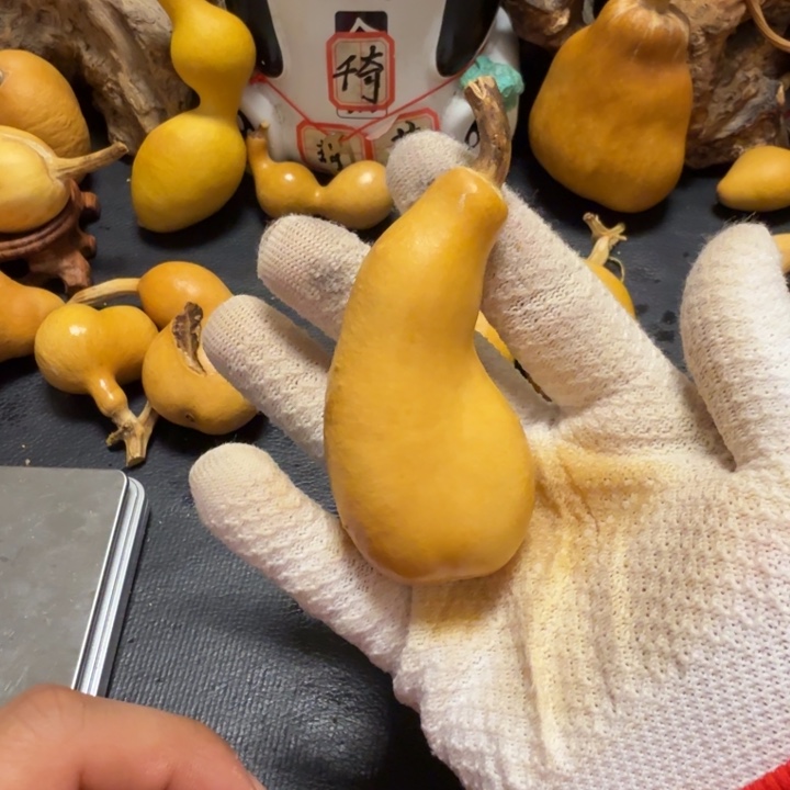 一***布65……………………………………