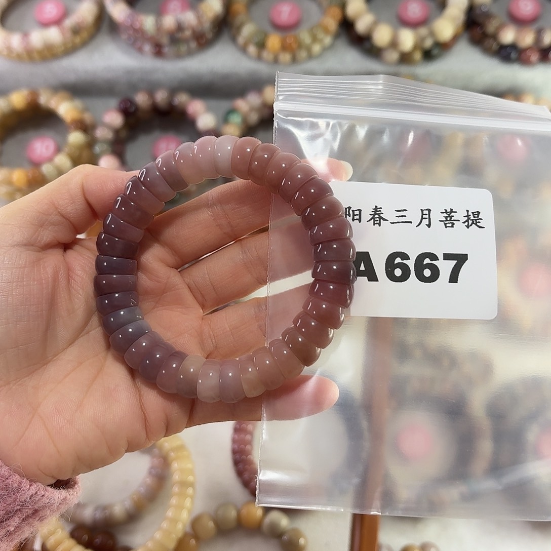 ＊***海菩提根/象牙果吊坠