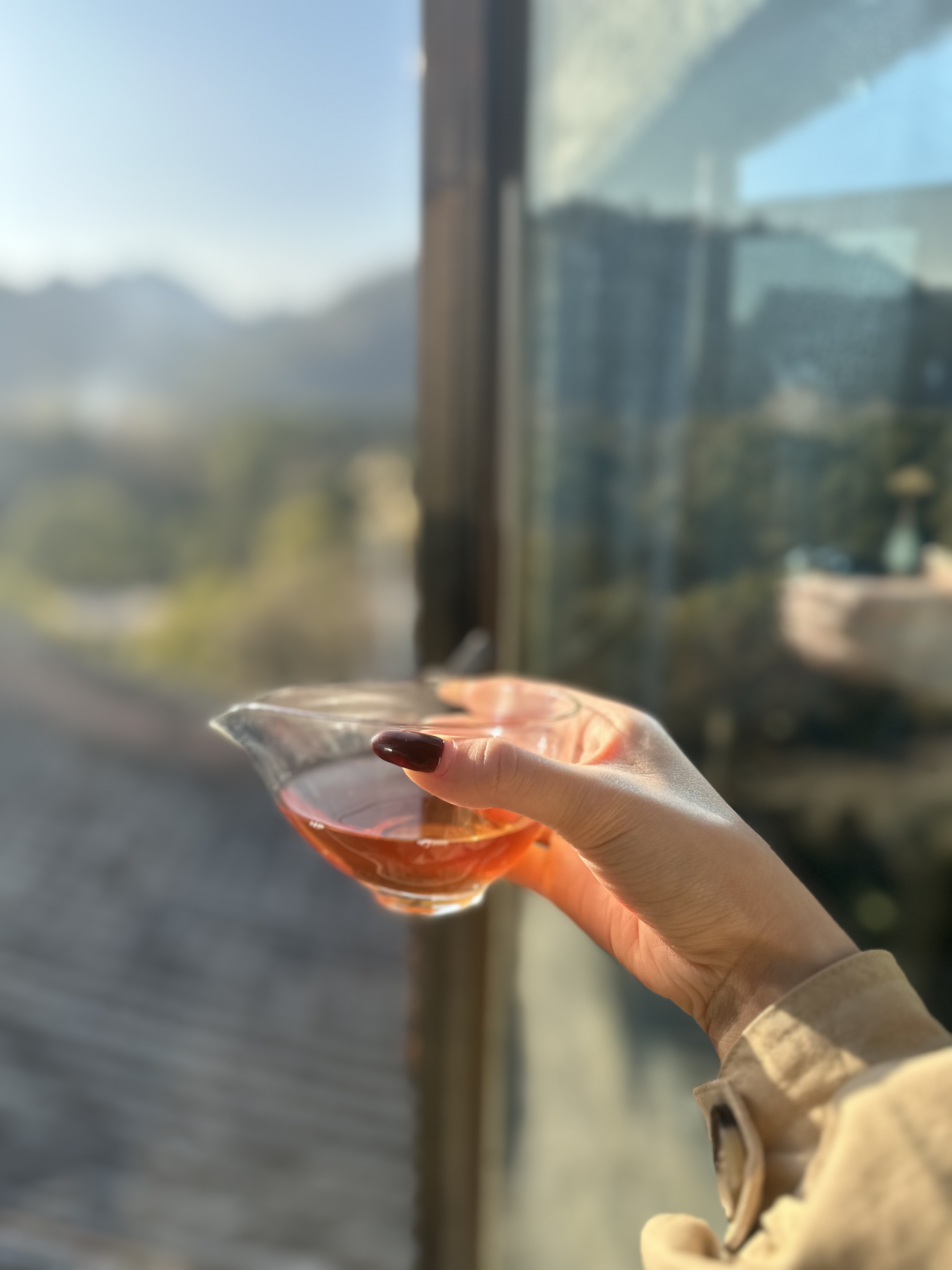 12.31【武韵皆空】武夷岩茶  1 9 9 链接 