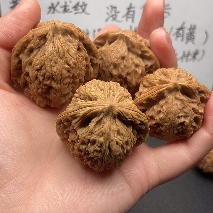 ！***！大大大大大大南疆宫灯黄金甲