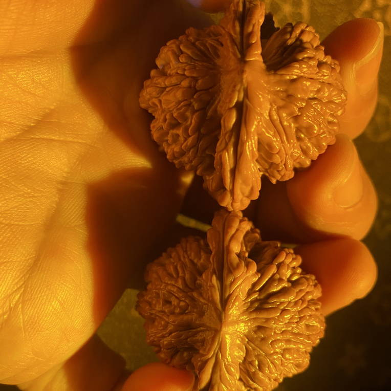 文玩核桃大粗筋官帽50尺寸（打好底）