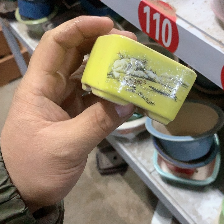 紫砂没有那么好吃我的