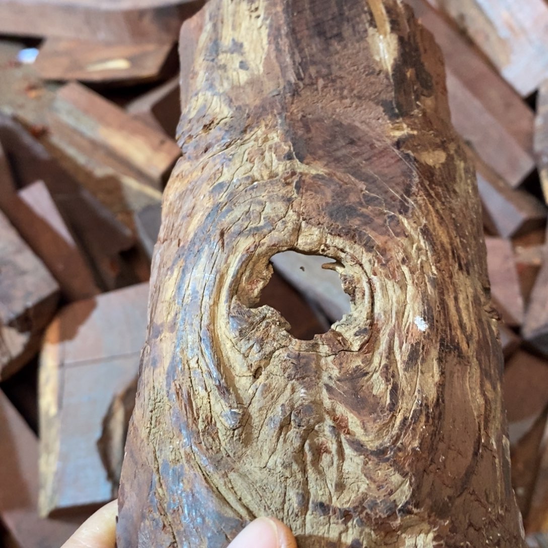 骑***鸟檀香紫檀（小叶紫檀）50