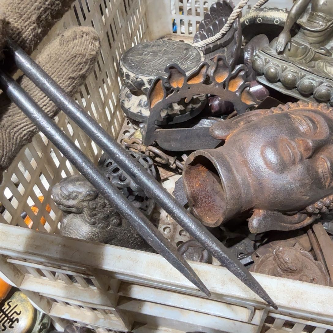 沙***柳一物一图看好再拍