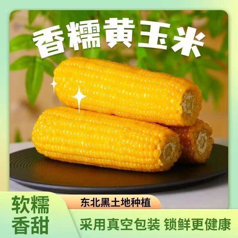 【试吃四根整箱12大棒】东北黄糯玉米软糯粘香真空包装7-8斤