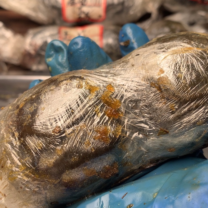 W***J大叶紫檀（黑酸枝木类）