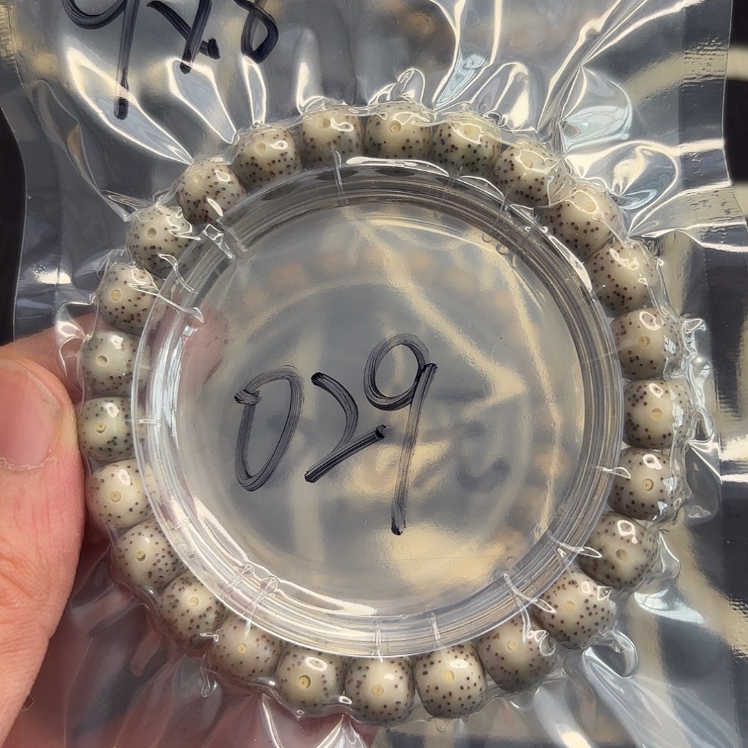 星月菩提手串糯冰玉化料029