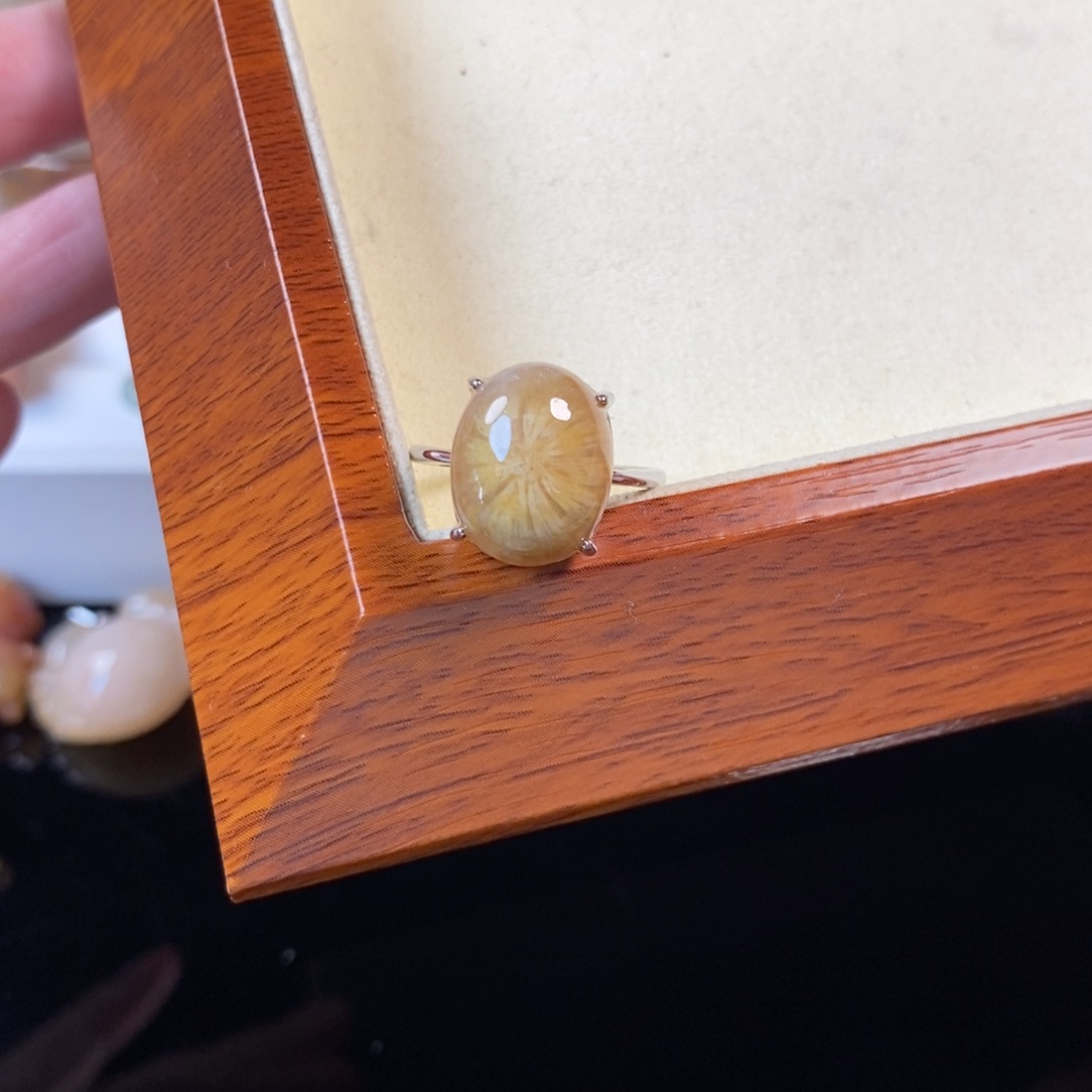 硅化珊瑚（珊瑚玉）未镶嵌戒指45